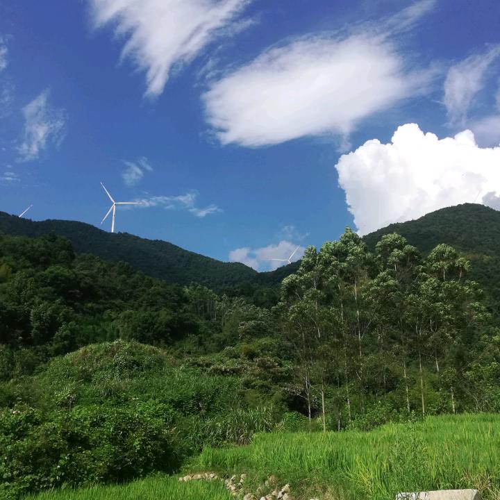 似是故人来