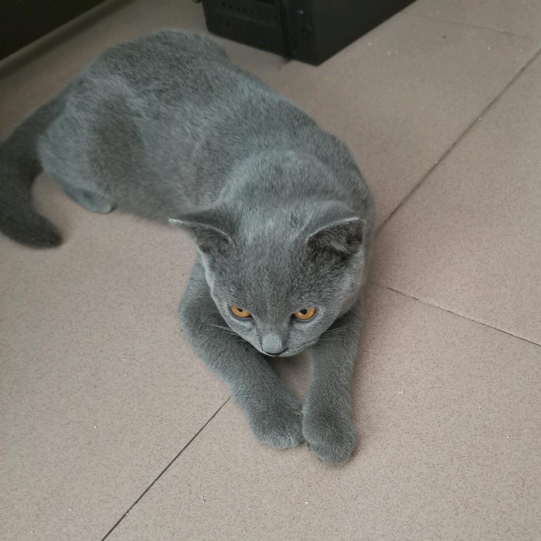 未来可期待