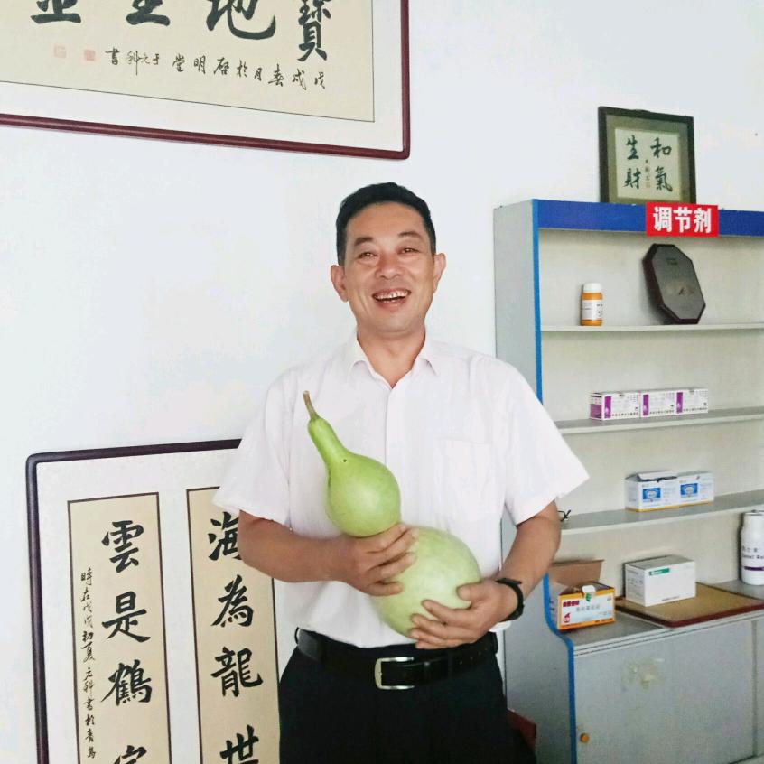 丰科简约风