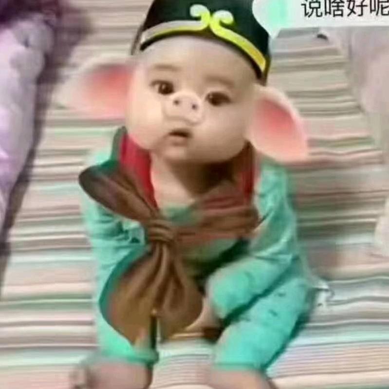 狂躁的蚂蚁