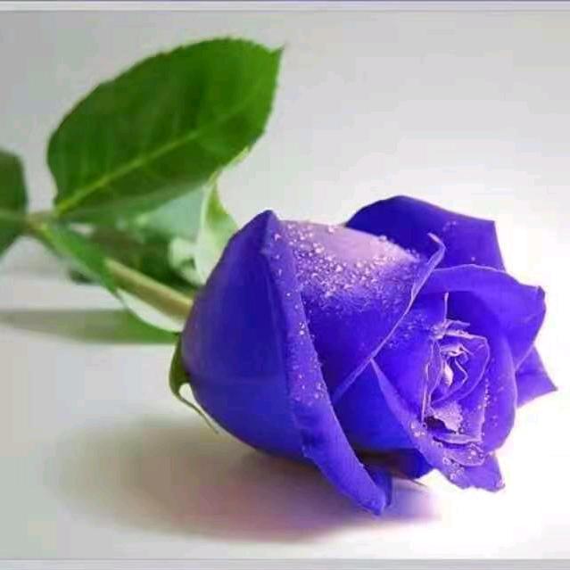 ℳ靓ঞ 丽ꦿ人  ໌້꧔生ꦿ💕