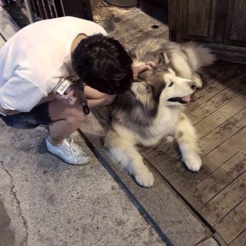 大脸叔🐶