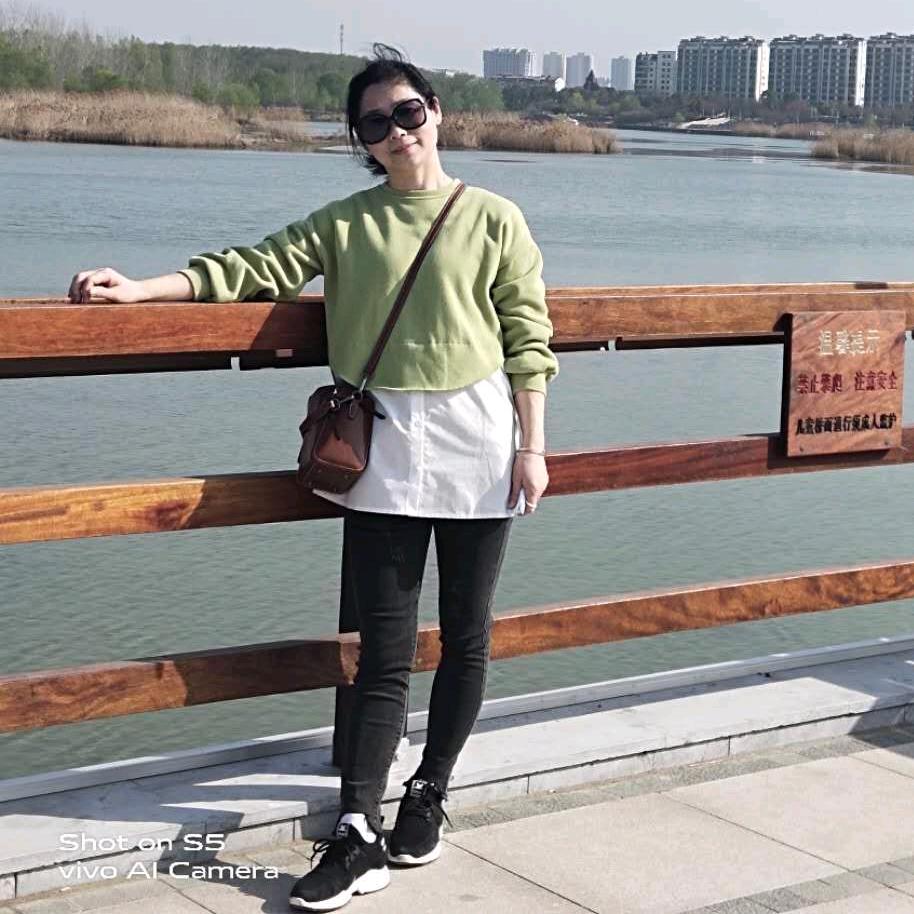 杨潘杨