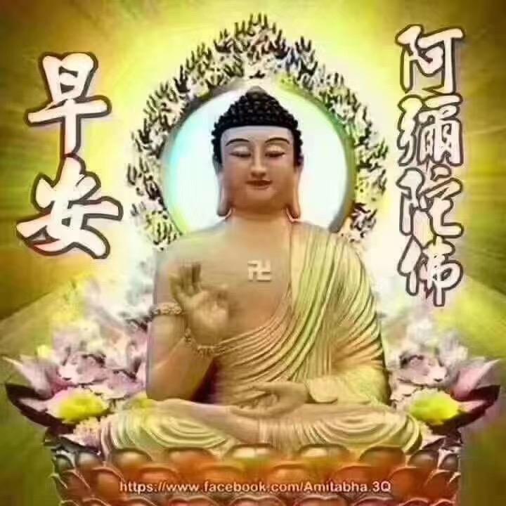 质朴，二手客车