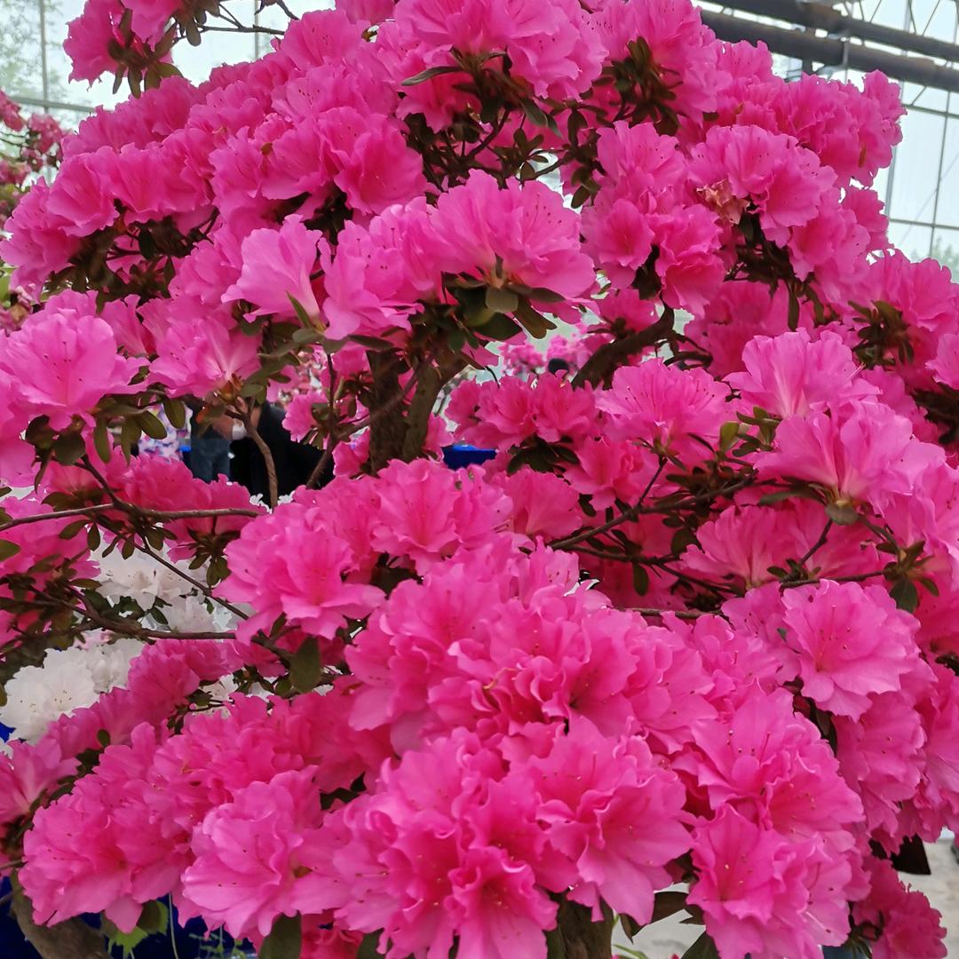 改变