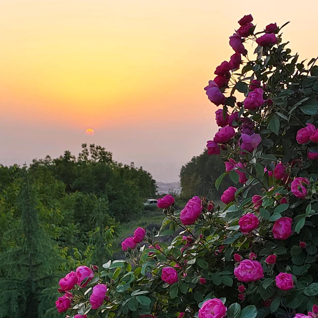 平凡中的不平凡，巨私聊