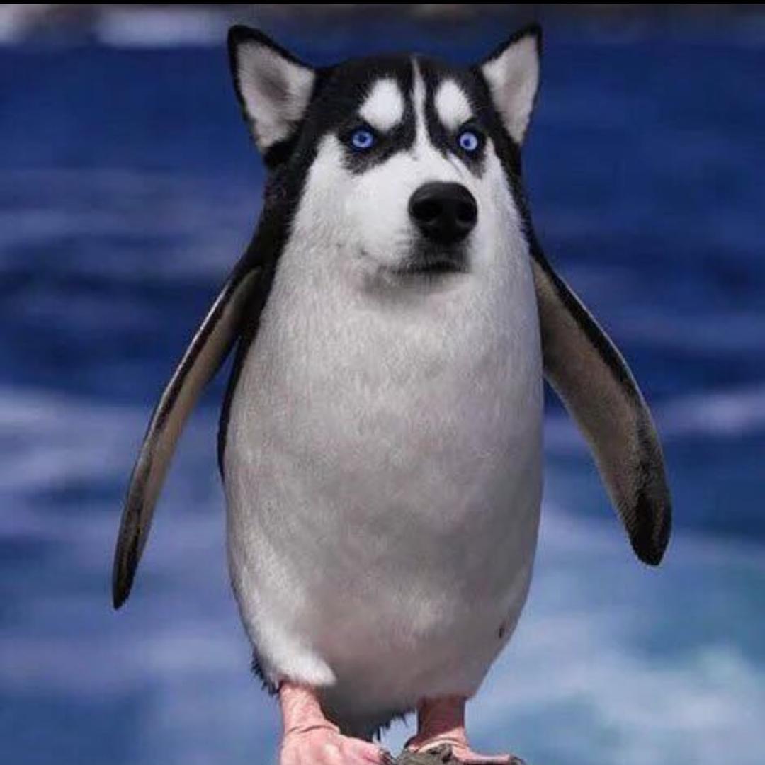 不