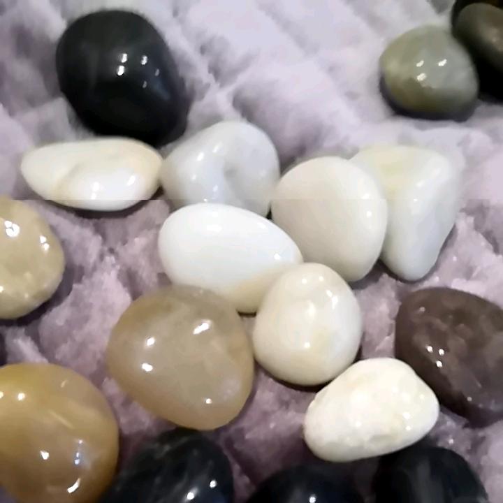 龙行天下