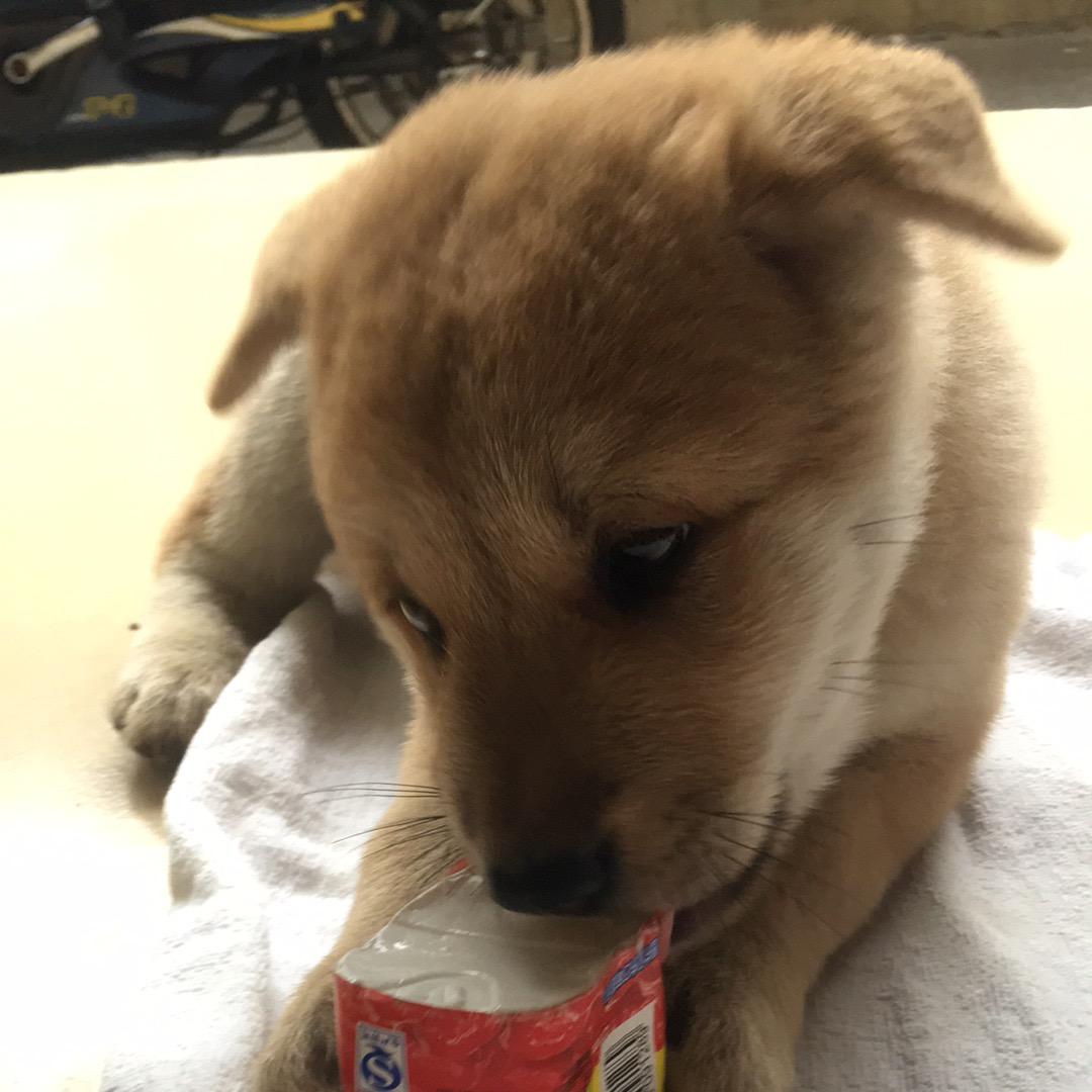 🌈order⛹🏿‍♂️