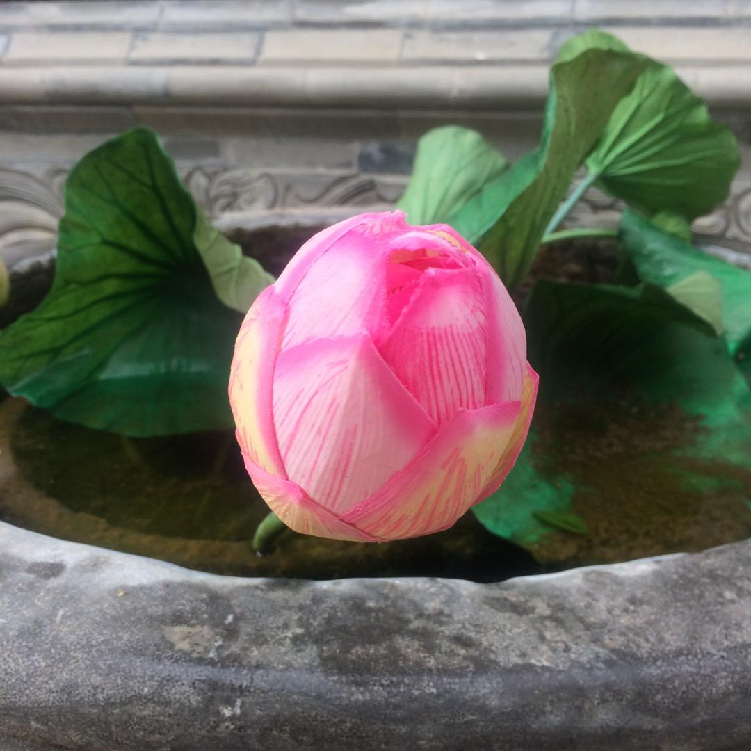 唉，心情不好，不好