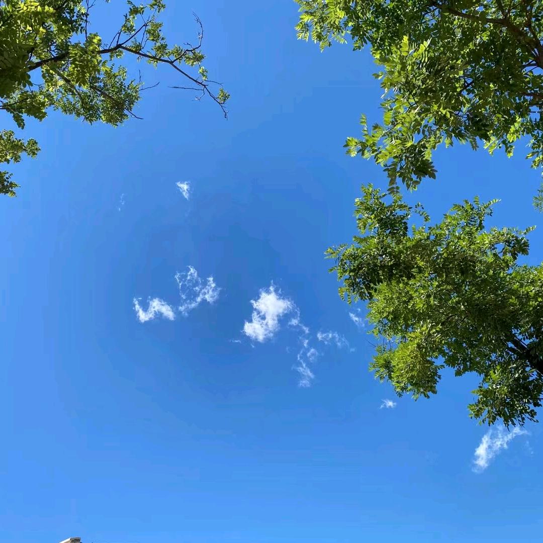 非凡