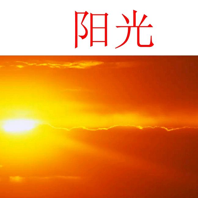 🌞阳光🌞