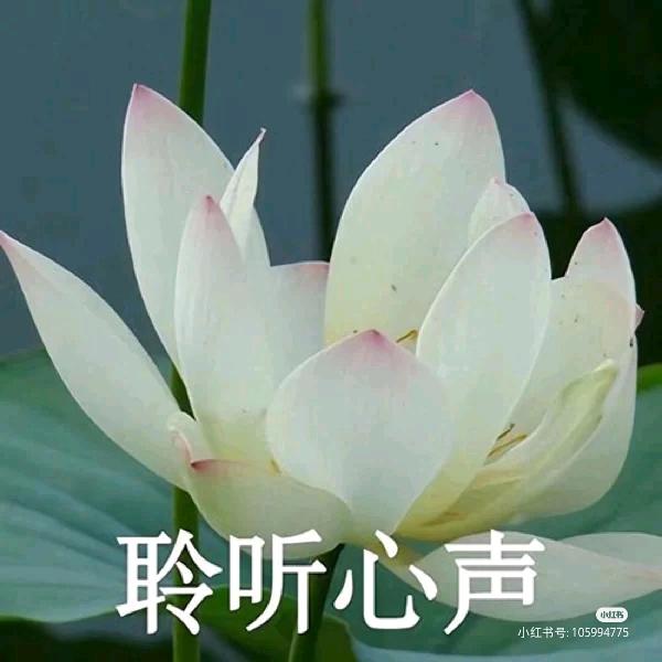 一生有你