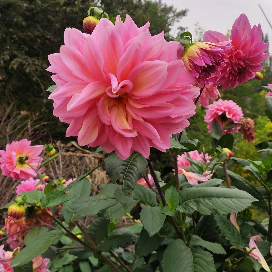 静斌