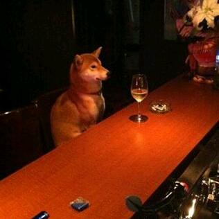 叫我老薛就行！