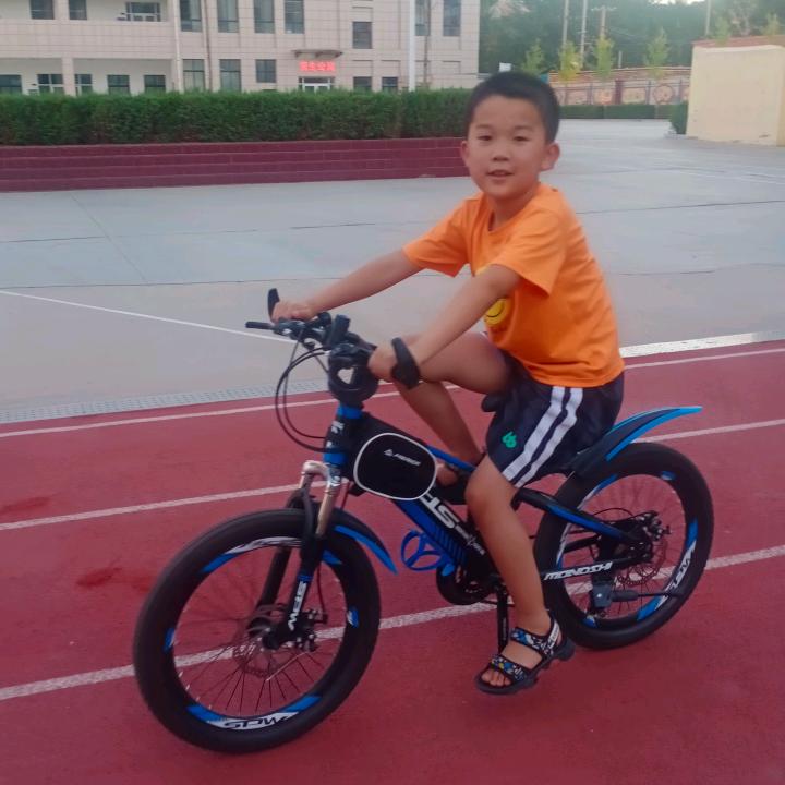 羊羊