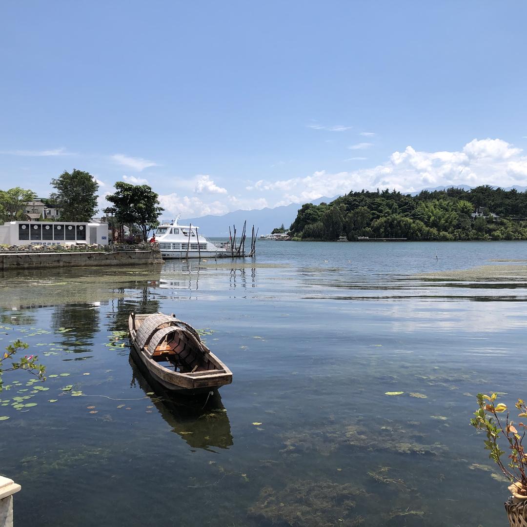 云水野鹤