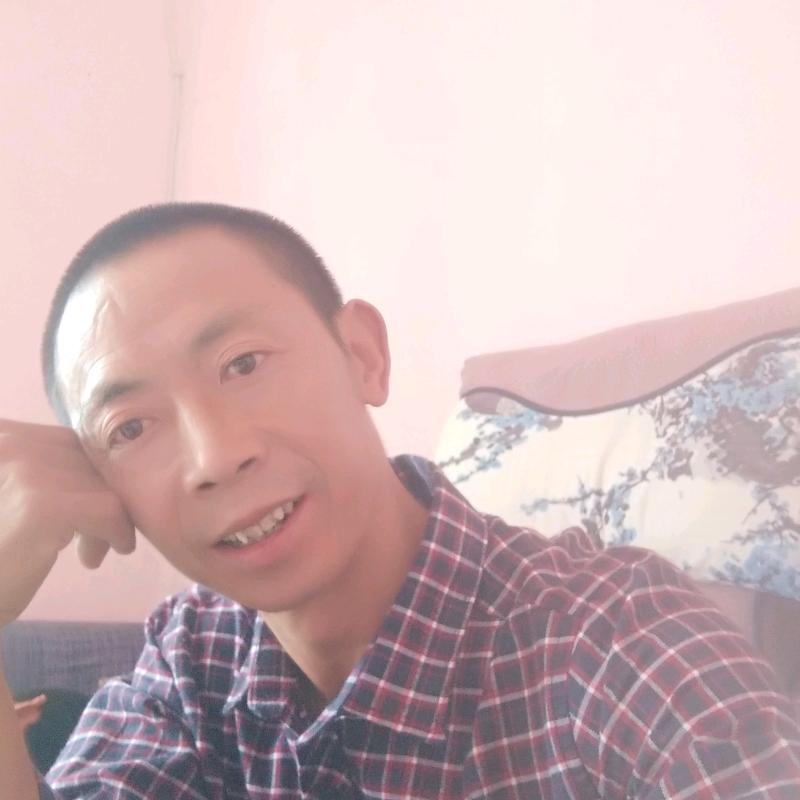 义门陳