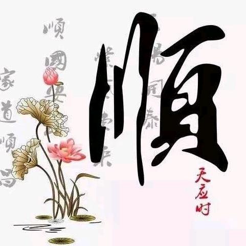小卡