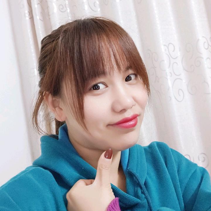 琴