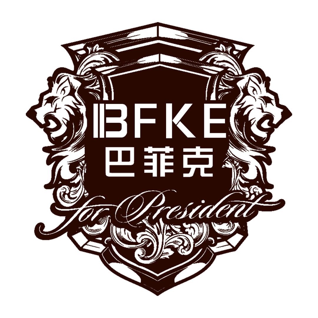 巴菲克全屋吊顶