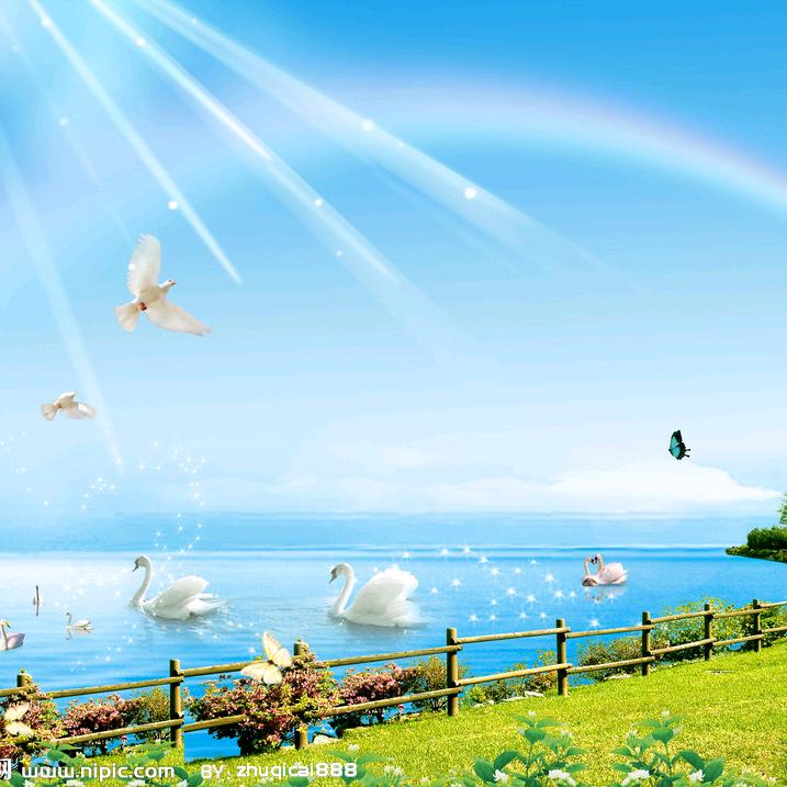 🎡一路生花🏖