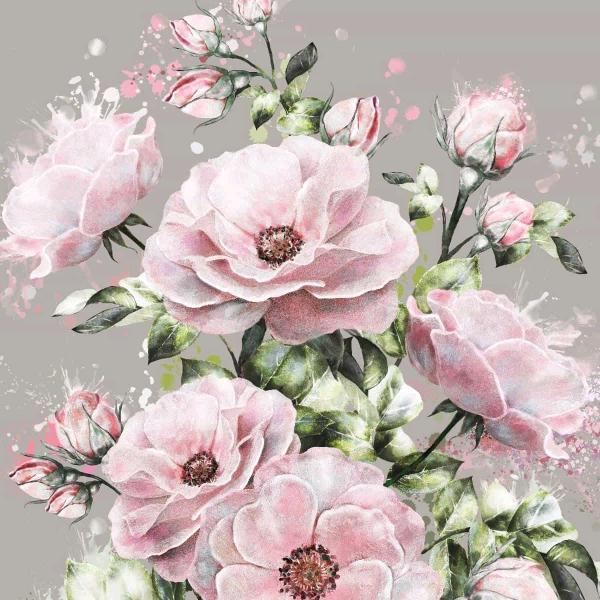 白小白