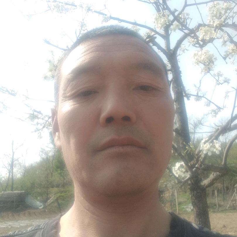 山景刘哥