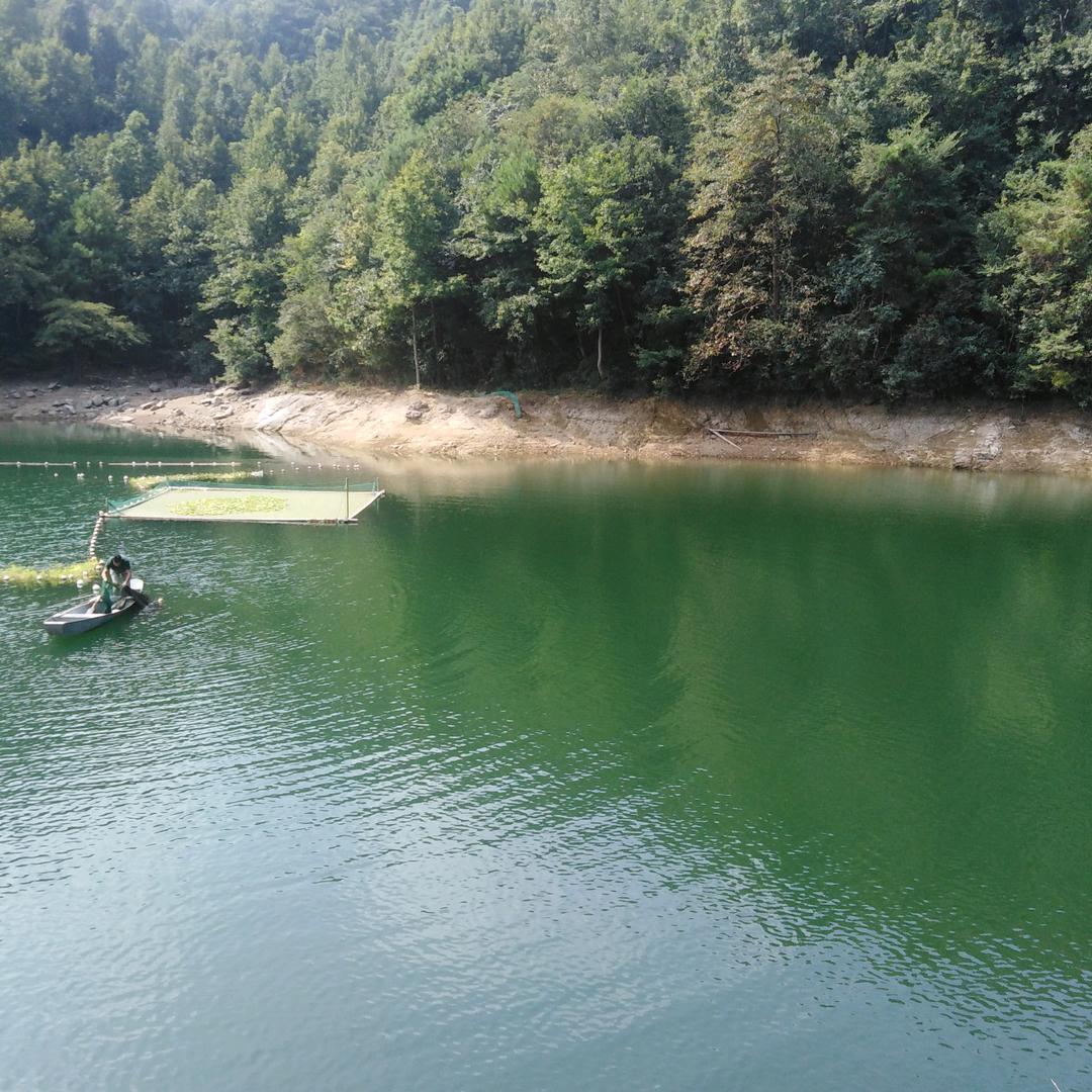 事业有陈