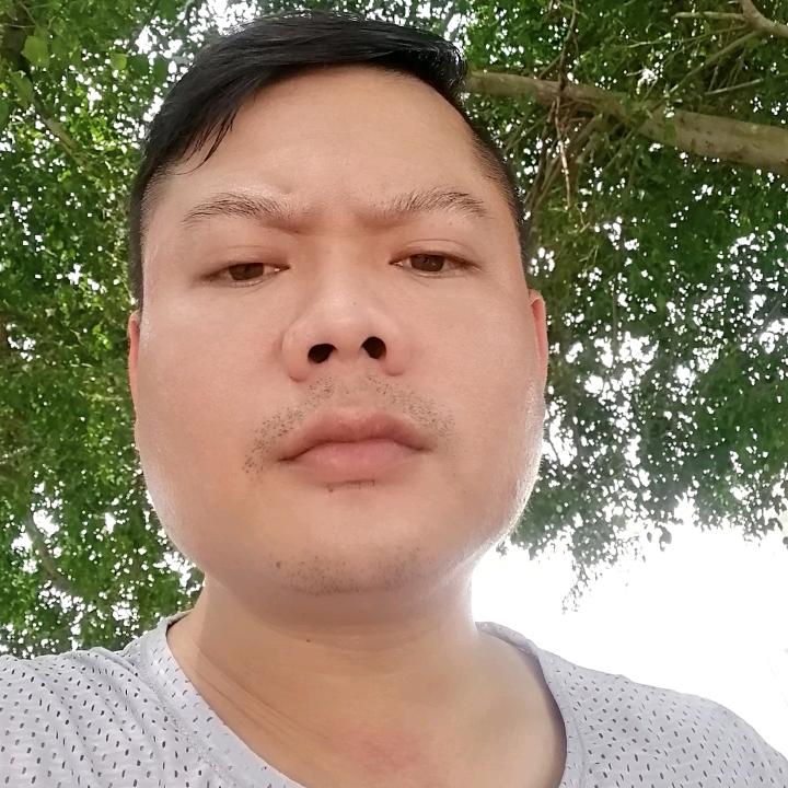 🐍黑曼巴🐍
