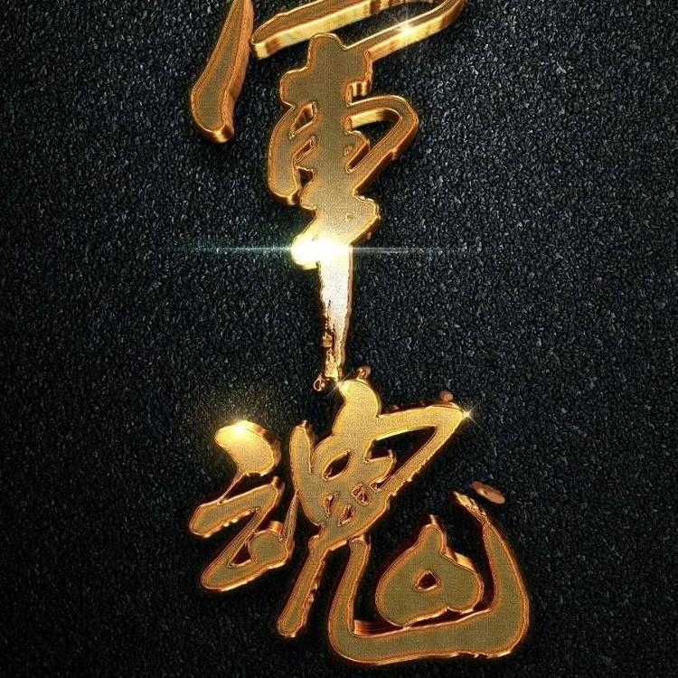 迷彩16
