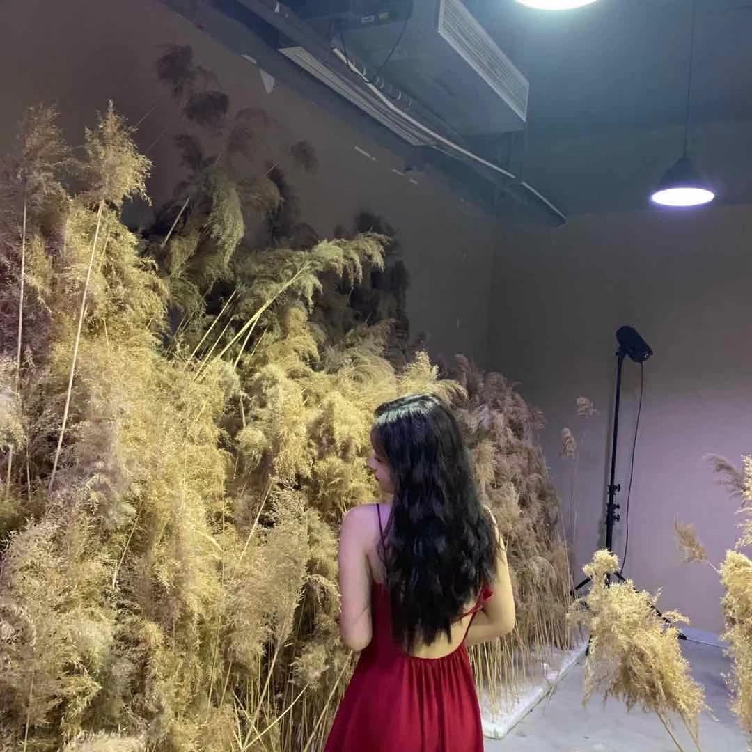 Lu.