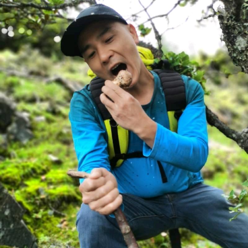 中老缅野生菌食材猎人