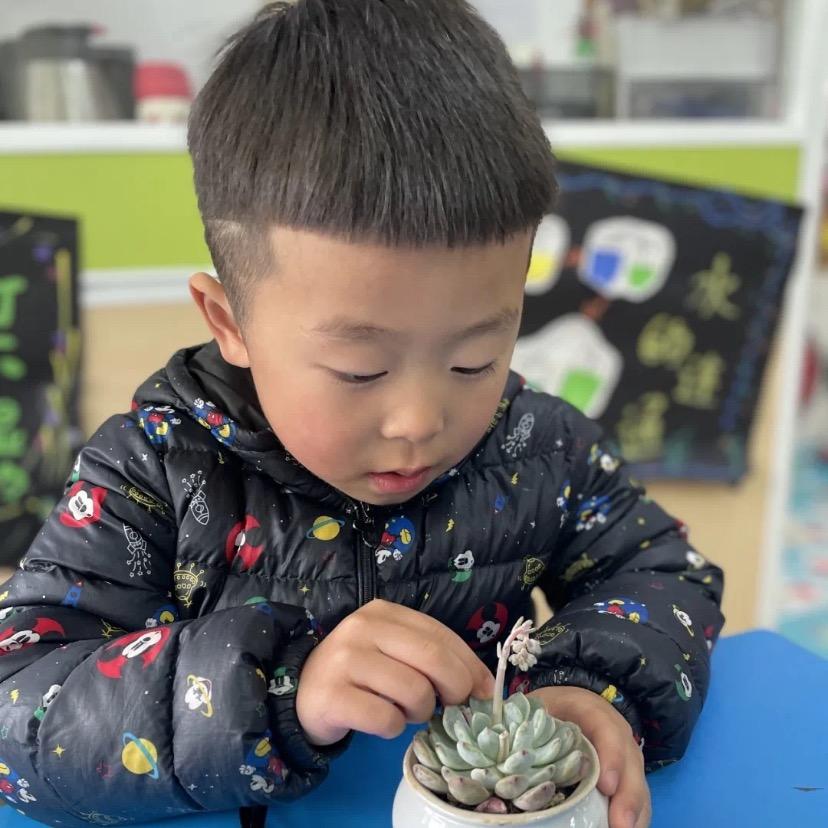 ৡৢﺴ木子liৢhuijuan