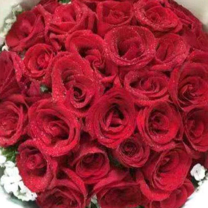 🌹🌹冷暖自知🌹🌹