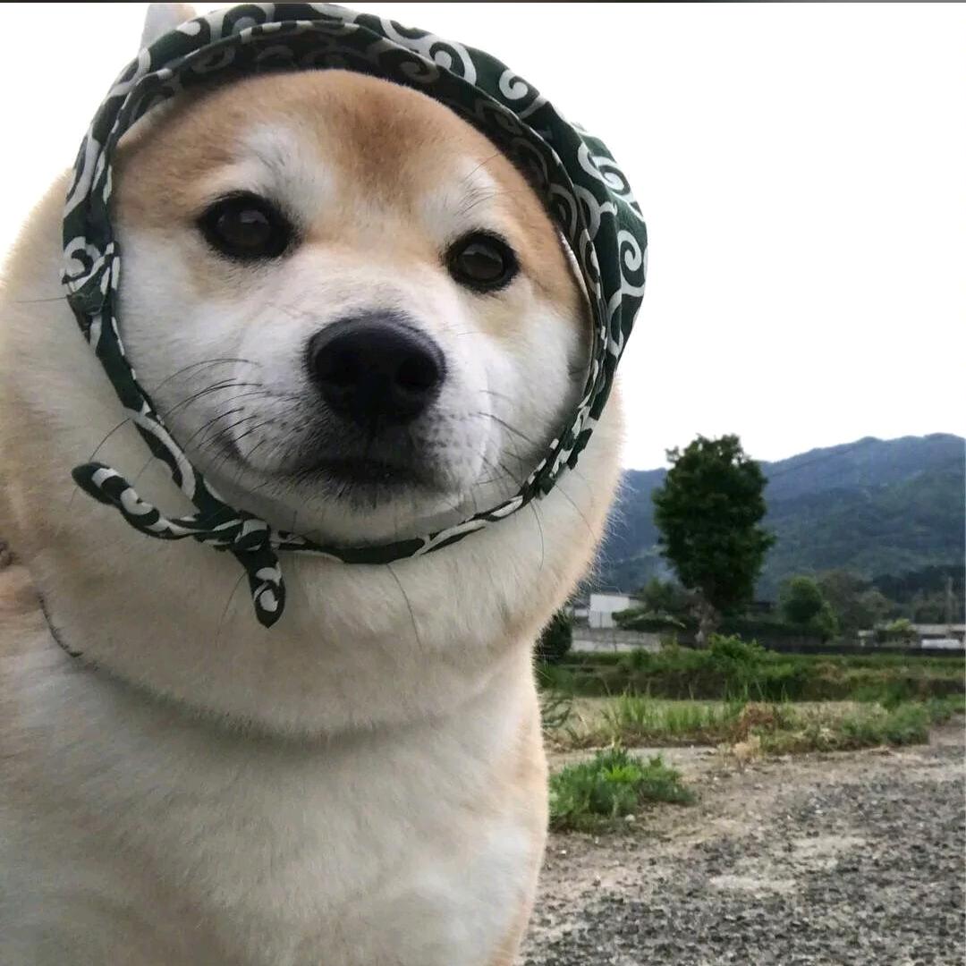 我有妖
