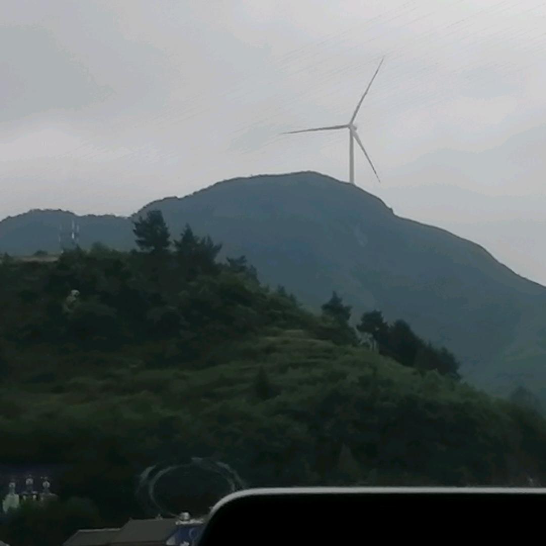 @强哥