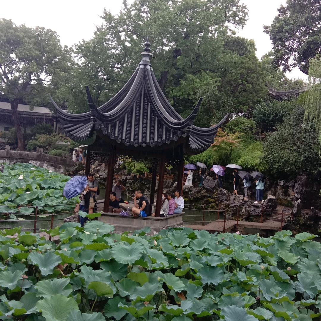 ＇我最爱吃香菜