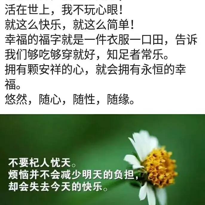梓色心情