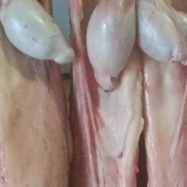 胡记羊肉铺