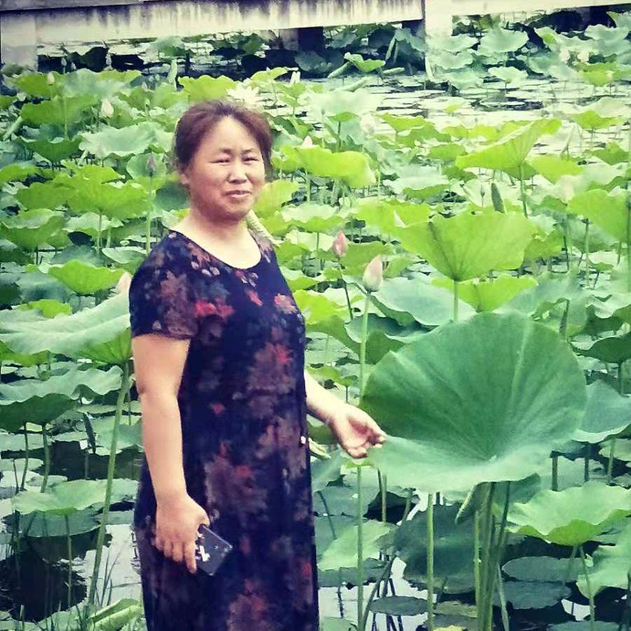天天向上t