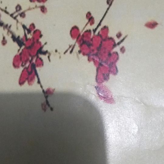夕阳