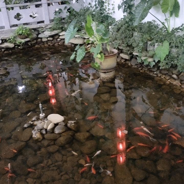 🥀ꦿ꯭送祝福💕韩有谁💞꧔ꦿ᭄