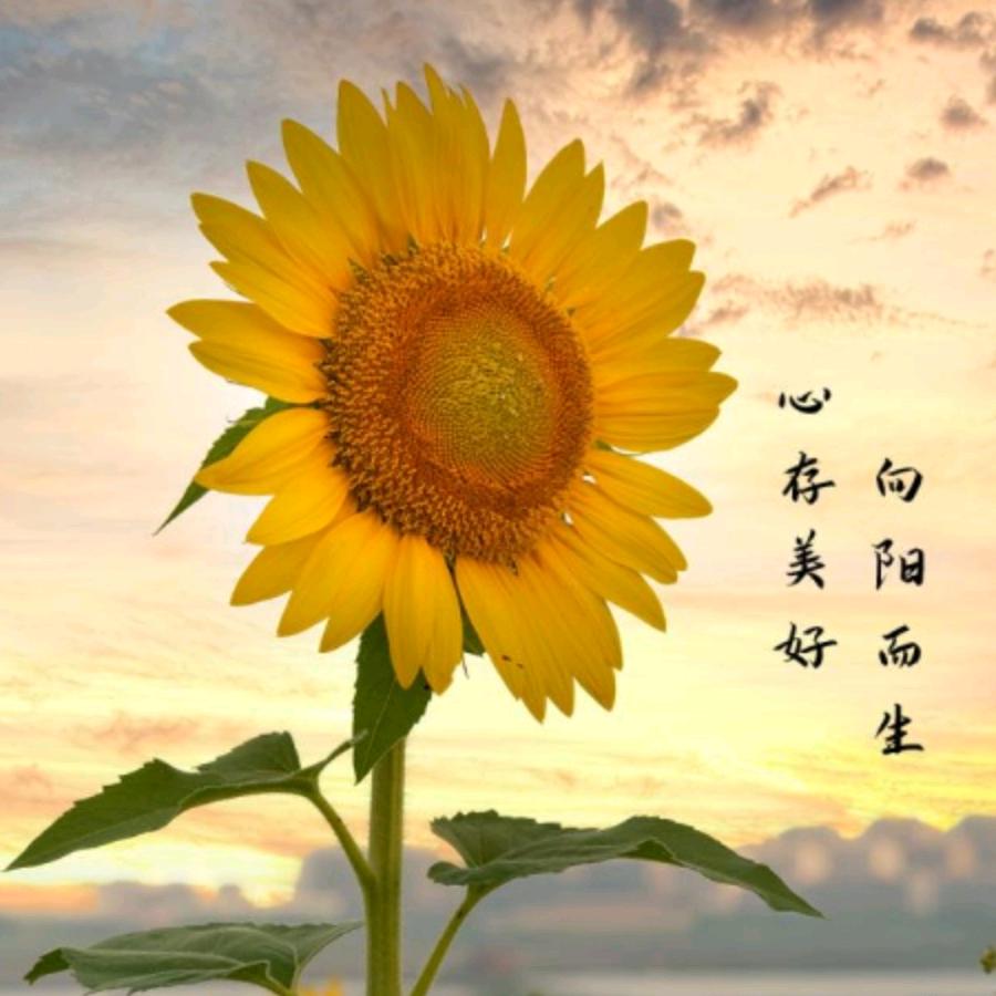 @艾@