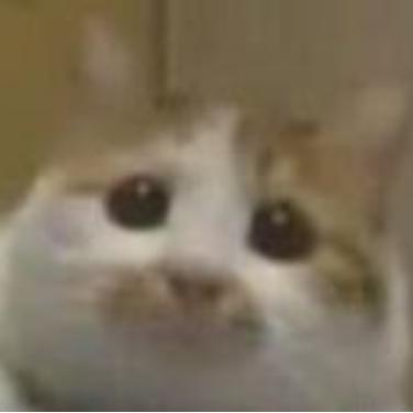 阿扯