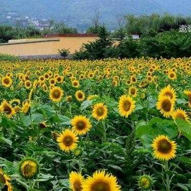 @海阔天空
