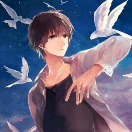 。。。。。。。