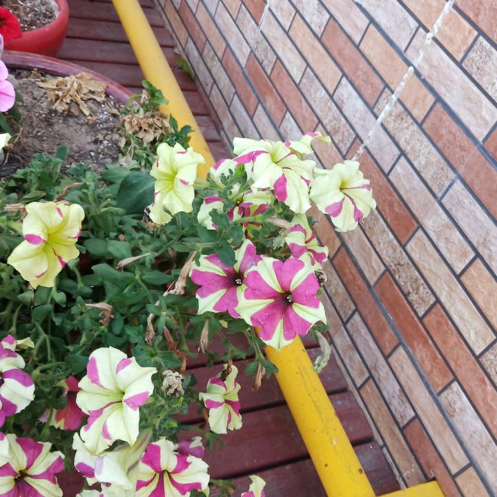 专业防水光辉岁月