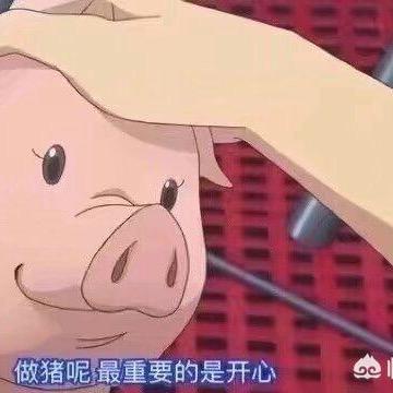 钱少爱买要求高