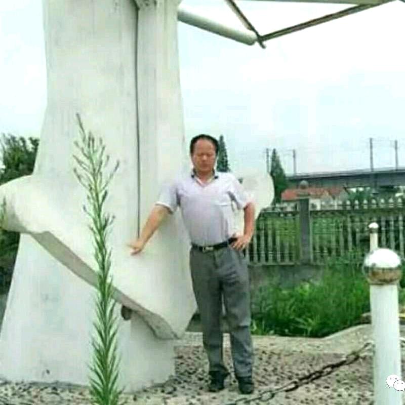 茂华